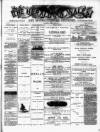 Herald of Wales Saturday 23 February 1884 Page 1