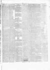 Herald of Wales Saturday 03 January 1885 Page 5
