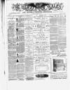 Herald of Wales Saturday 21 March 1885 Page 1