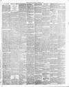 Herald of Wales Saturday 05 February 1887 Page 5
