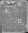 Herald of Wales Saturday 05 August 1893 Page 5