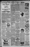 Herald of Wales Saturday 15 June 1907 Page 11