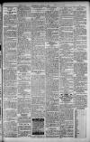 Herald of Wales Saturday 03 August 1907 Page 11