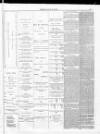 Blackpool Gazette & Herald Friday 30 July 1875 Page 11