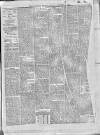 Blackpool Gazette & Herald Friday 05 January 1877 Page 5