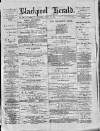 Blackpool Gazette & Herald Friday 20 April 1877 Page 1