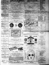 Blackpool Gazette & Herald Friday 23 July 1880 Page 1