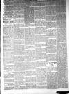 Blackpool Gazette & Herald Friday 03 April 1885 Page 5