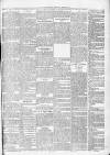 Northern Guardian (Hartlepool) Thursday 29 March 1894 Page 3