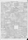 Northern Guardian (Hartlepool) Tuesday 08 May 1894 Page 3