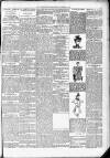 Northern Guardian (Hartlepool) Tuesday 06 November 1894 Page 3