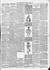 Northern Guardian (Hartlepool) Wednesday 14 November 1894 Page 3