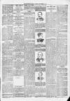 Northern Guardian (Hartlepool) Saturday 17 November 1894 Page 3