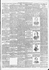 Northern Guardian (Hartlepool) Wednesday 29 May 1895 Page 3