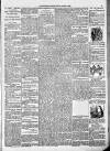 Northern Guardian (Hartlepool) Monday 06 January 1896 Page 3