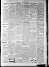 Northern Guardian (Hartlepool) Tuesday 03 January 1899 Page 3