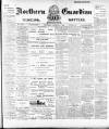 Northern Guardian (Hartlepool) Wednesday 06 February 1901 Page 1