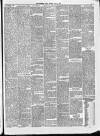 Birkenhead News Saturday 08 June 1878 Page 3