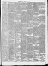 Birkenhead News Saturday 20 July 1878 Page 3