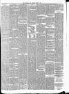 Birkenhead News Saturday 02 August 1879 Page 3