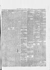 Birkenhead News Saturday 13 November 1880 Page 5