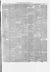 Birkenhead News Saturday 04 December 1880 Page 3