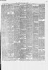 Birkenhead News Saturday 04 December 1880 Page 5