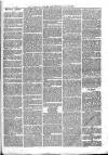 Barrow Herald and Furness Advertiser Saturday 24 October 1863 Page 7