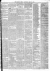 Barrow Herald and Furness Advertiser Saturday 22 April 1876 Page 5