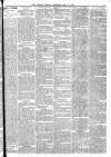 Barrow Herald and Furness Advertiser Thursday 11 May 1876 Page 3