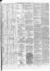 Barrow Herald and Furness Advertiser Saturday 06 April 1878 Page 3