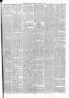 Barrow Herald and Furness Advertiser Tuesday 09 April 1878 Page 3