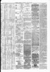 Barrow Herald and Furness Advertiser Saturday 25 May 1878 Page 3
