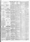Barrow Herald and Furness Advertiser Saturday 14 February 1880 Page 3