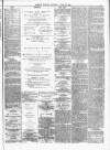 Barrow Herald and Furness Advertiser Saturday 18 June 1881 Page 5