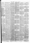 Barrow Herald and Furness Advertiser Saturday 13 August 1887 Page 5