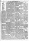 Alston Herald and East Cumberland Advertiser Saturday 10 April 1875 Page 3