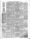 Alston Herald and East Cumberland Advertiser Saturday 24 April 1875 Page 3