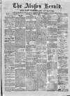 Alston Herald and East Cumberland Advertiser Saturday 19 June 1875 Page 1