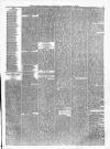 Alston Herald and East Cumberland Advertiser Saturday 25 December 1875 Page 3