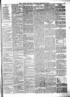 Alston Herald and East Cumberland Advertiser Saturday 17 March 1877 Page 3