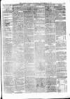 Alston Herald and East Cumberland Advertiser Saturday 22 September 1877 Page 3