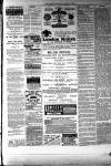 Atherstone, Nuneaton, and Warwickshire Times Saturday 01 January 1881 Page 3