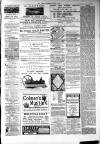 Atherstone, Nuneaton, and Warwickshire Times Saturday 04 June 1881 Page 3