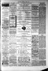 Atherstone, Nuneaton, and Warwickshire Times Saturday 11 June 1881 Page 3