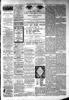 Atherstone, Nuneaton, and Warwickshire Times Saturday 18 June 1881 Page 3