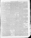 Atherstone, Nuneaton, and Warwickshire Times Saturday 24 January 1885 Page 5