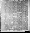Atherstone, Nuneaton, and Warwickshire Times Saturday 04 January 1890 Page 7