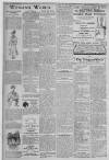 Erdington News Saturday 13 July 1907 Page 8