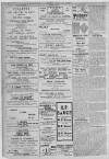 Erdington News Saturday 27 July 1907 Page 4